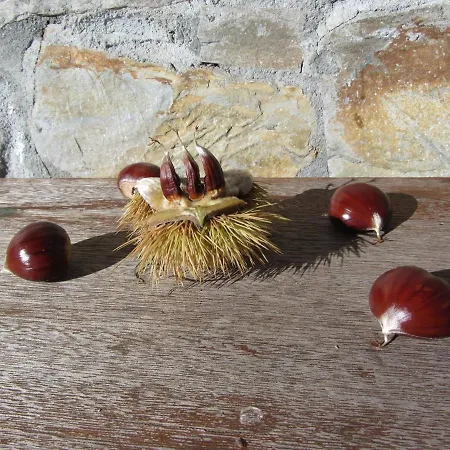 Bed & Breakfast O Bilho