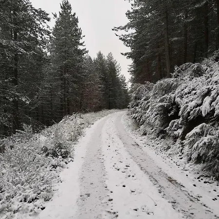 O Bilho Bed & Breakfast