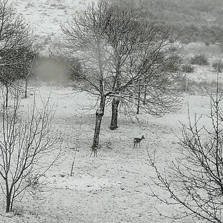 Bed & Breakfast O Bilho 3*