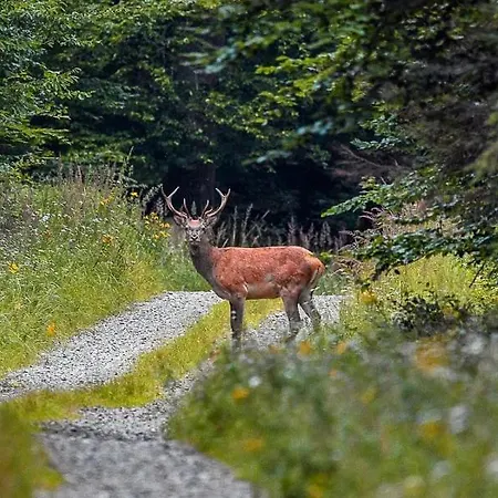O Bilho Bed & Breakfast Vinhais