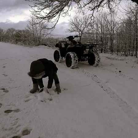 Bed & Breakfast O Bilho