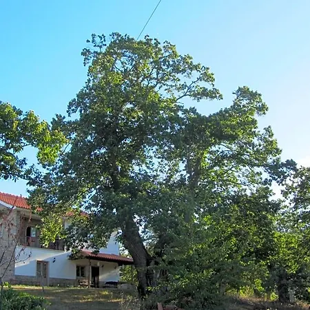 Bed and breakfast O Bilhó 3*