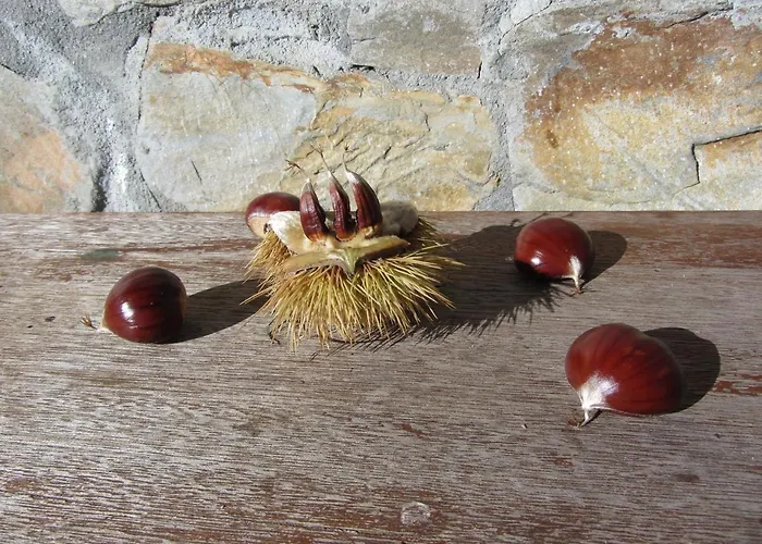 Frühstückspension O Bilho