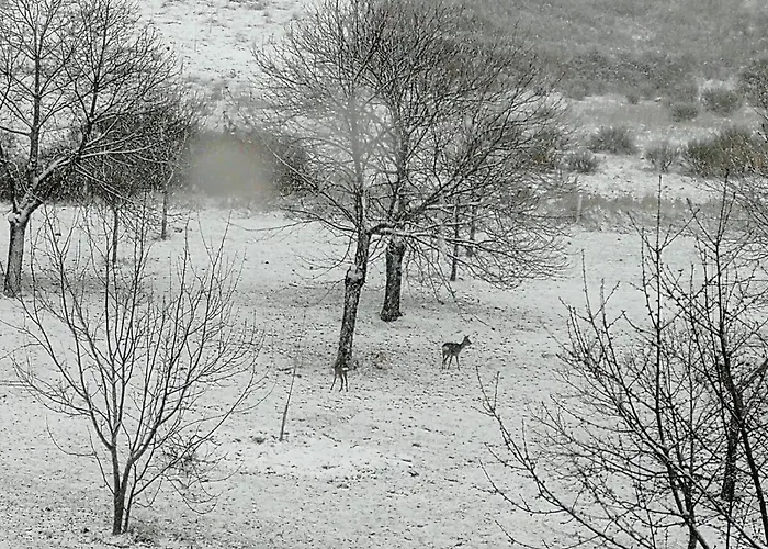 Frühstückspension O Bilho 3*