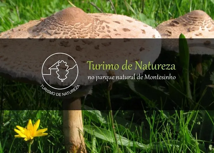 O Bilho Panzió Vinhais